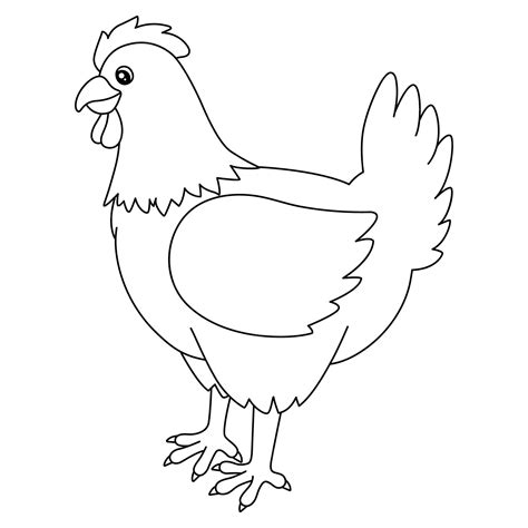 Hen Drawing For Kids