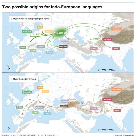European Language 的图像结果