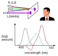 Apache Technologies : Software | Embedded | Biometrics | eFinance