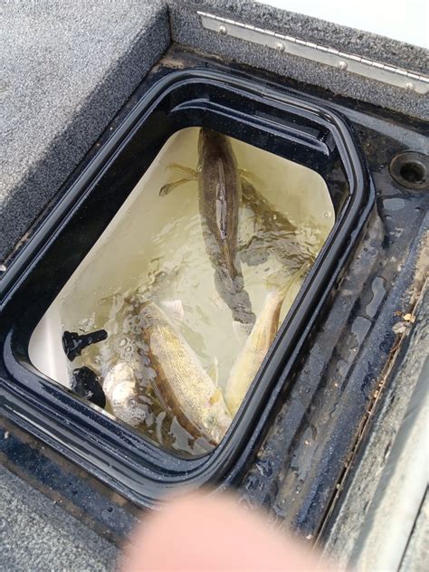 Out East! – Devils Lake Fishing Report