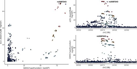 Genetic association and Mendelian randomization for hypothyroidism highlight immune molecular ...
