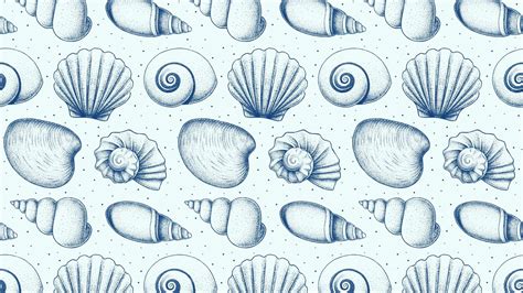 Shell Pattern 的图像结果