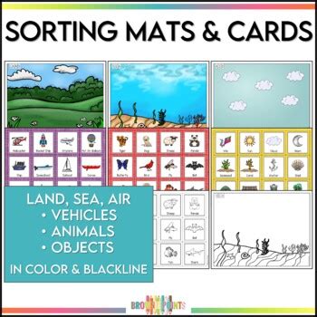 Sorting Attributes Lesson 的图像结果