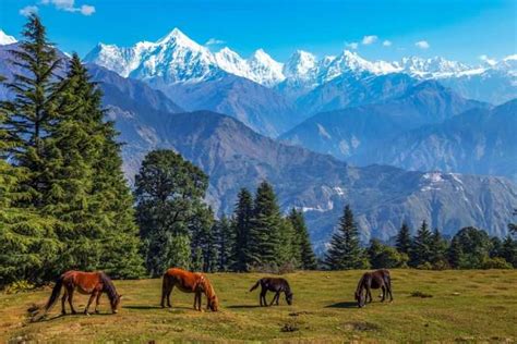 Winter destinations in Indian hill stations | Times of India Travel