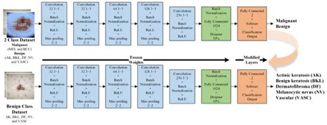 Enhancing Skin Lesion Detection: A Multistage Multiclass Convolutional ...