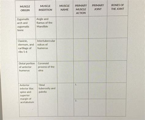 Image result for Example of Muscle Origin