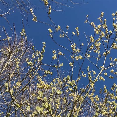 Rekem Tourism (2024): All You Need to Know Before You Go