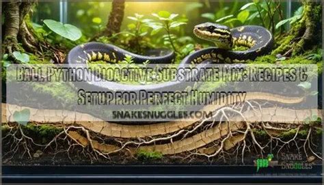 Image result for Ball Python Substrate