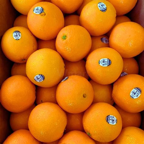 USA Sunkist Navel Barnfield Orange 1pc – Wmart