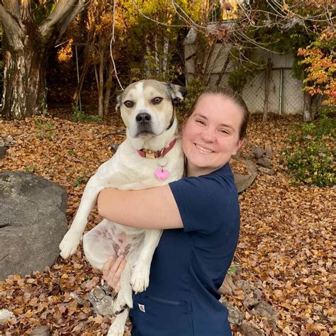 Maggie - Yakima Valley Veterinary Clinic