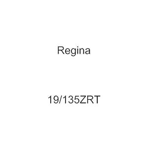 Regina 19/135ZRT Rivet Connecting Link Gold Chain (520ZRT) : Amazon.in ...