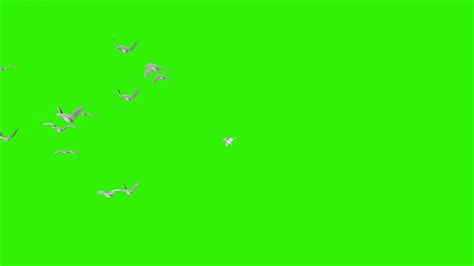 Image result for Greenscreen Flying