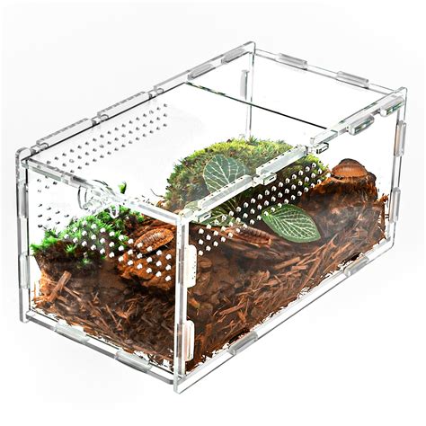 Repti Zoo 2 In 1 Acrylic Aboreal Breeding Box Mantis | Desertcart INDIA