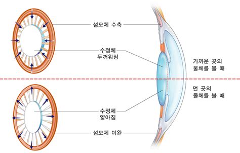 Image result for Alien Lens Sunglasses