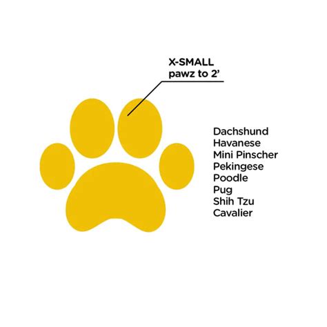 Protex Pawz Boots for Dogs – Waterproof, Paw Protection | Supertails