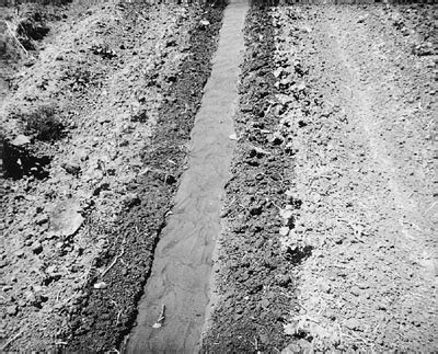 3. Soil water content and water potential