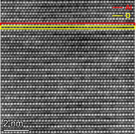 Electron Microscope 的图像结果