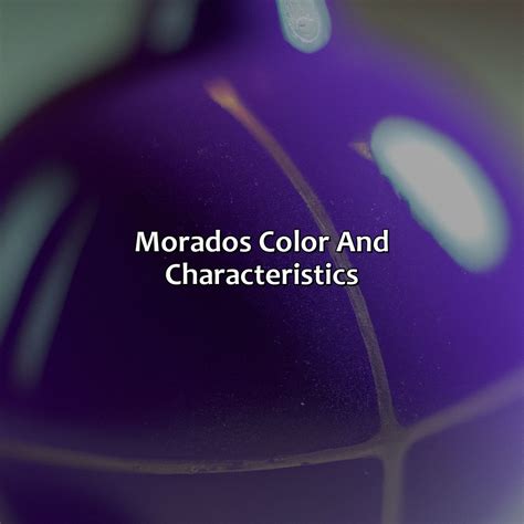 What Color Is Morado - colorscombo.com
