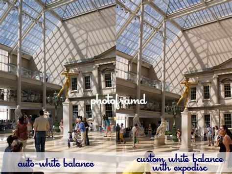 Rezultat imagine pentru Using ExpoDisc