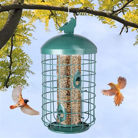 Squirrel Deterrent Bird Feeders