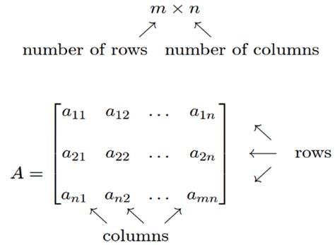 Image result for Column Vector Linear Algebra