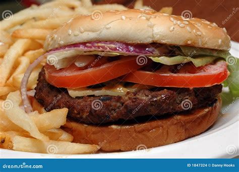Angus Beef Burger with Fries Stock Photo - Image of lunch, fries: 1847324