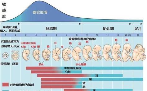 有人38周分娩有人却40周，三个原因避免第二个小心第三个