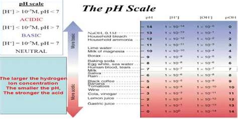 Image result for Hydrogen Ion Concentration Gradient