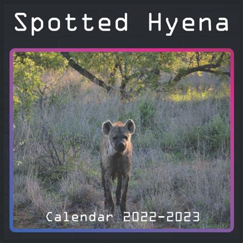 Buy Spotted Hyena 2022-2023: January 2022 - June 2023 Monthly Spotted ...