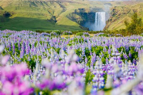 Iceland's Weather in April: Full Guide for a Perfect Trip