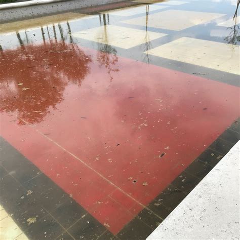 PARCO SANDRO PERTINI (2026) All You Need to Know BEFORE You Go (with ...