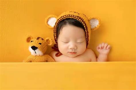 婴儿照片素材-婴儿照片模板-婴儿照片图片免费下载-设图网