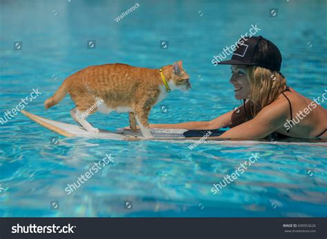 Woman Teaching Her Cat Ride Surf Stock Photo 690953626 | Shutterstock