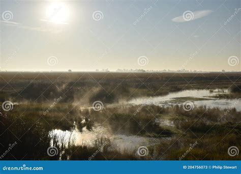 Morning at the Merced National Wildlife Refuge Stock Image - Image of ...