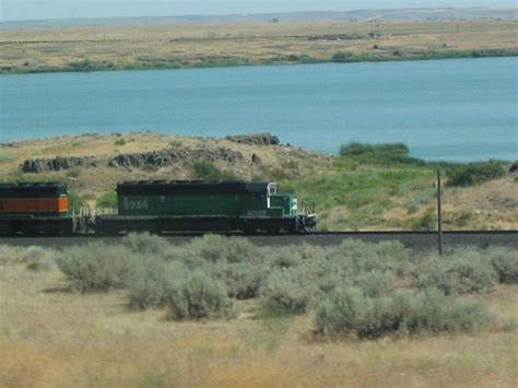 Washington 的图像结果