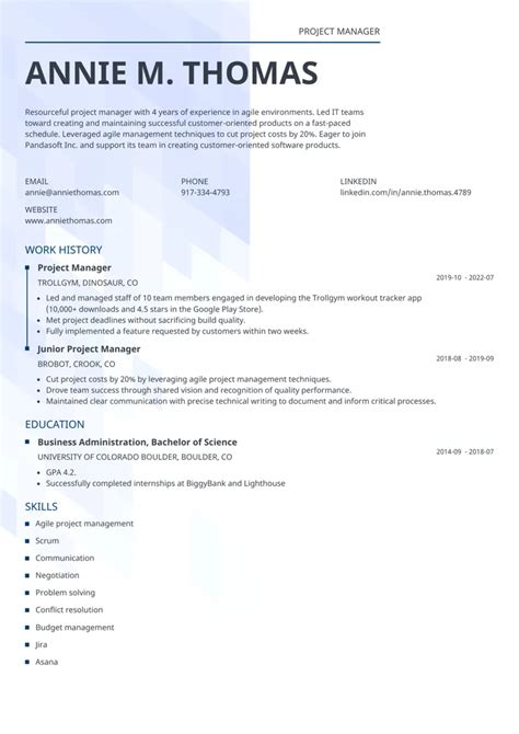 Resume Examples 的图像结果