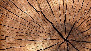 δ34S stable isotope ratio analysis of wood - Elementar
