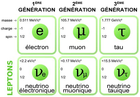 Image result for Types of Leptons