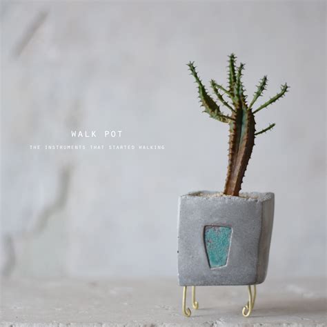 walk pot (gray) ヤンセンビレンシス | Sabotensi