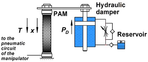 Design and Mathematical Modeling of a Pneumatic Artificial Muscle ...