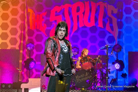 Image result for The Struts Live