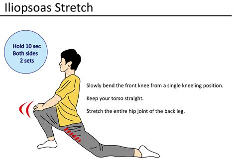 Iliopsoas Muscle Stretch
