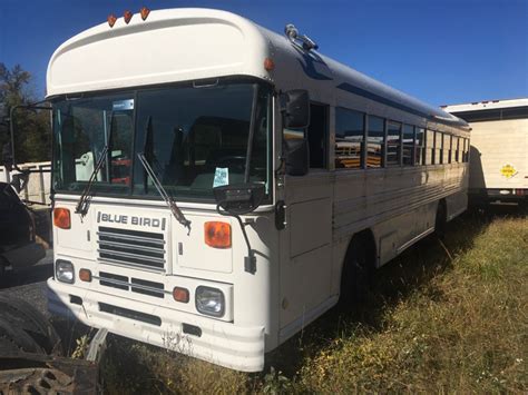 Image result for Blue Bird TC2000