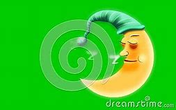Image result for Sleeping Animation