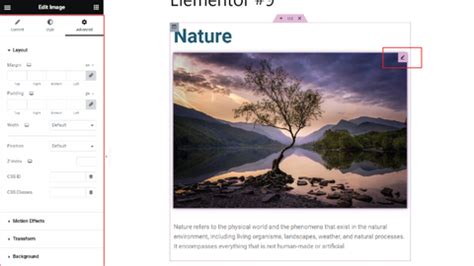 How To Create Beautiful Custom Pages In WordPress Using Elementor