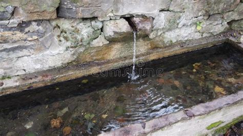Image result for Fillongley Spring Water Source