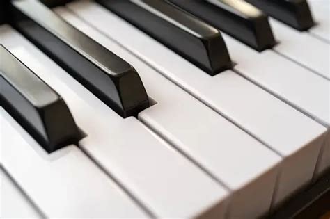 Image result for Piano Roblox Corpse Bride