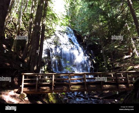 Ramona Falls Hike at Mt Hood Wilderness in Oregon Stock Photo - Alamy