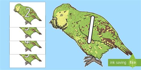 0-30 on Kakapo Display Numbers