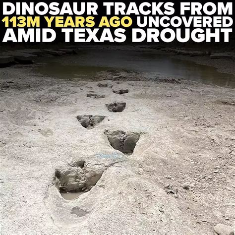 Dinosaur tracks from 113 million years ago uncovered due to severe drought conditions | United ...